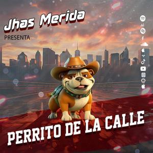 Perrito de la Calle