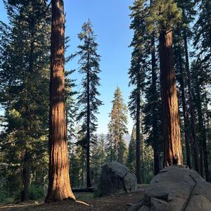 A Song For Your Morning