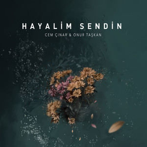 Hayalim Sendin