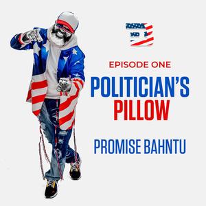 Politician's Pillow