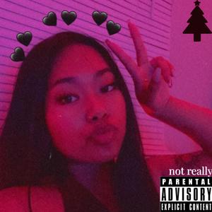 Not Really A Christmas Mixtape (Explicit)