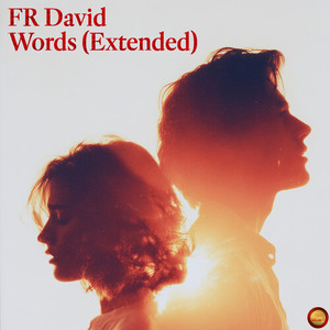Words (Extended)
