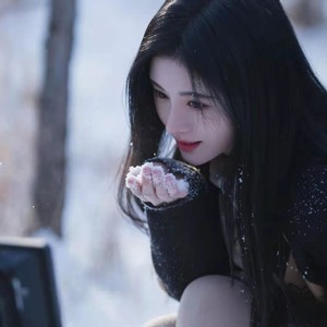 过去完成时 (Demo)