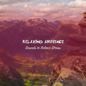 Deep Sleep Delta Waves