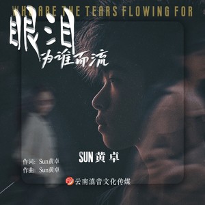 眼泪为谁而流 (伴奏)