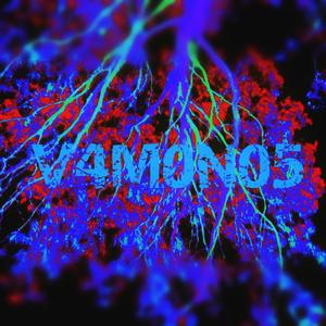 V4M0N0S