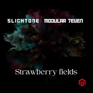 Modular 7even - Strawberry fields (feat. Slightone) (Explicit)