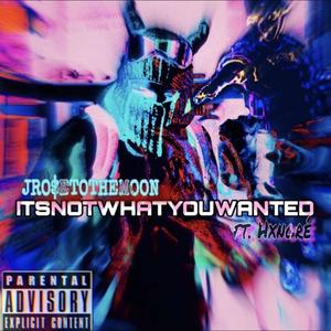 ITSNOTWHATYOUWANTED (feat. hxnoré) [Explicit]