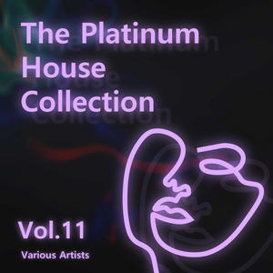 Various Artists - The Platinum House Collection Vol.11