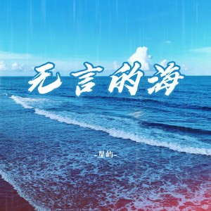 无言的海