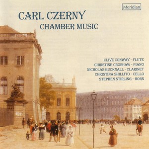Duo concertant in G Major, Op. 129 - I. Allegro (G大调二重奏协奏曲，作品129 - 第一乐章 快板)