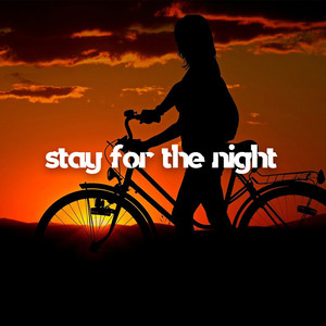 Stay for the Night