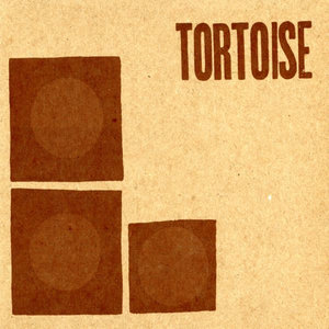 Tortoise