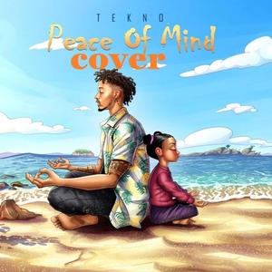 Tekno peace of mind cover