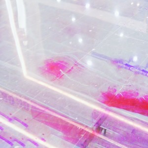 P L I P (Darwin Was Wrong Remix)