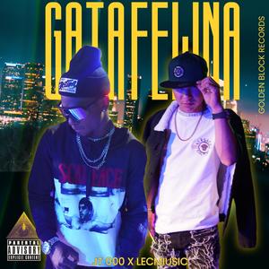 Gata Felina (feat. Lecmiusik & JT 000) (Explicit)