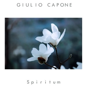 Spiritum