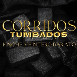 PINCHE VEINTERO BARATO (Explicit)