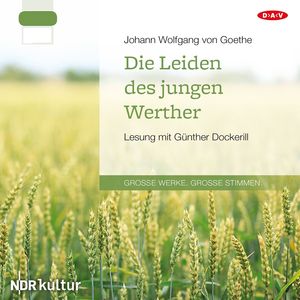Die Leiden des jungen Werther, Kapitel 1