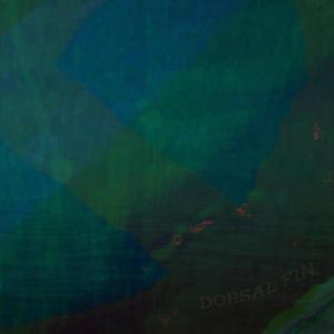 Dorsal Fin (Single Version)