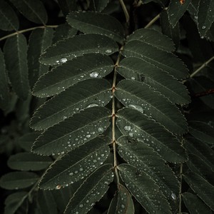 Crying - Trickling Water