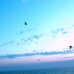 明媚的忧伤 (伴奏)