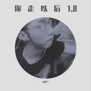 你走以后1.0封面