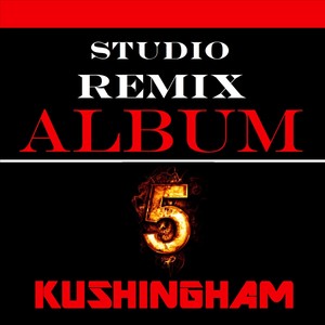 Studio Remix Album 5