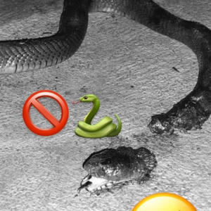 Snakes ta rest (feat. Askii) (Explicit)