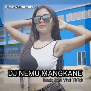 DJ NEMU MENGKANE VIRAL TIKTOK