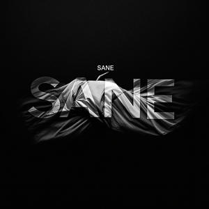 SANE (feat. SPACEMAN) (Explicit)