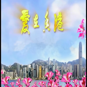香港明天更好 (Live)封面