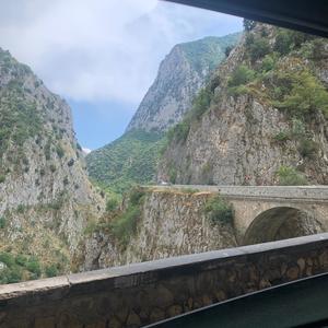 scanno prossimo (feat. Thin Thicket, Lazar Miric & Auden Stevenson)