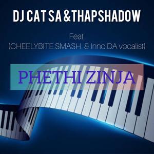 PHETHIZINJA (feat. DJ CAT SA, THAPSHADOW & INNO DA vocalist)