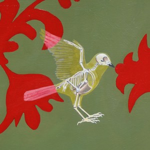 Bird (from ‘Let’s Go Dancing’ the songs of Kevn Kinney)