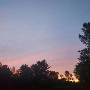 Potent (IAL) (Explicit)