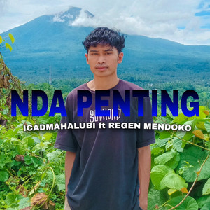 Nda Penting