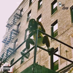 Too Many To Count (Explicit)