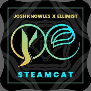 SteamCat (feat. Ellimist)