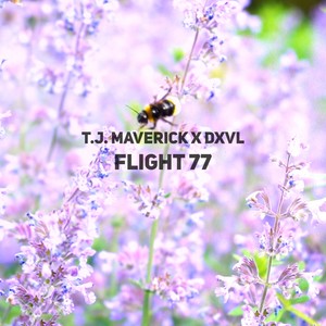 Flight 77 (Explicit)