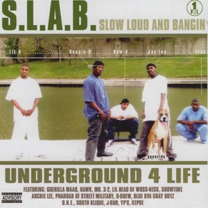 Real Niggaz Roll Slab (Explicit)