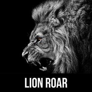Lion Roar