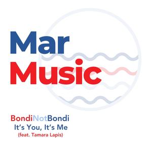 It's You It's Me (feat. Tamara Lapis) (Extended Mix)