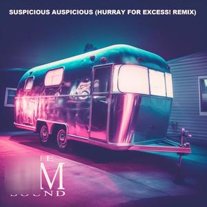 Suspicious Auspicious - (Hurray for Excess! Remix)