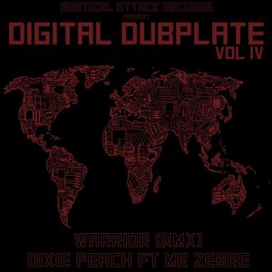 Digital Dubplate, Vol. 4