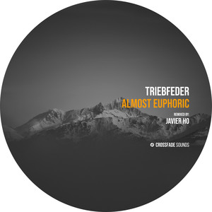 Almost Euphoric (Javier Ho Remix)