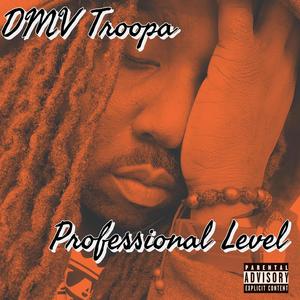 Professional Level (Explicit)