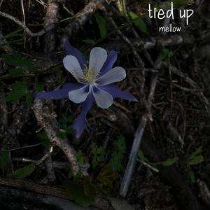 tied up(feat. christopher mahoney) (Explicit)