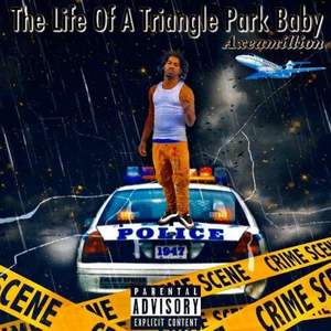 The Life Of A Triangle park Baby (Explicit)