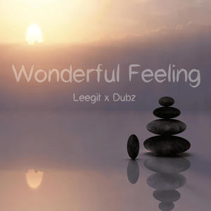 Wonderul Feeling (feat. Leegit) (Explicit)